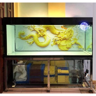 tranh 3d. tranh dán bể cá thủy sinh, bể cá rồng (tranh lưng)