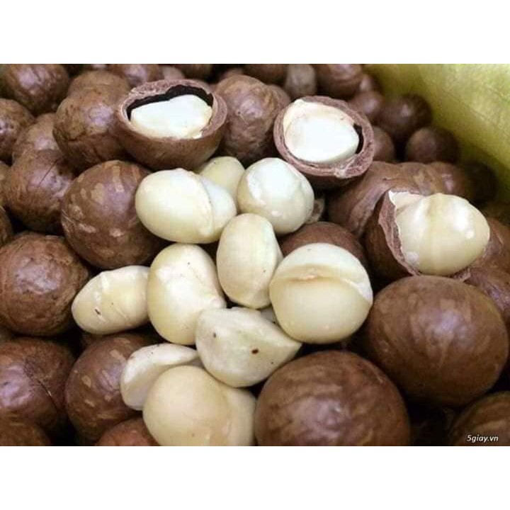 Macca dimaria úc nứt tự nhiên, hàng loại 1