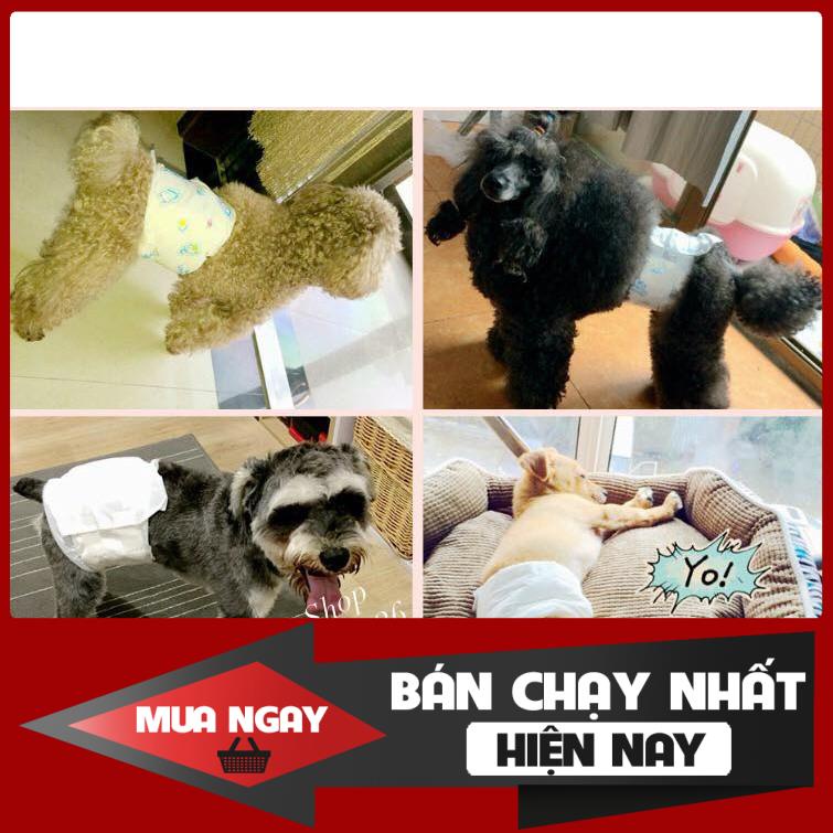 Bỉm Đực Dono, Bỉm Dành Riêng Cho Chó Đực, Hàng Nhập Khẩu Chất Lượng Cao