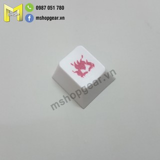 Keycap thick pbt dye-sub các hero trong game Overwatch