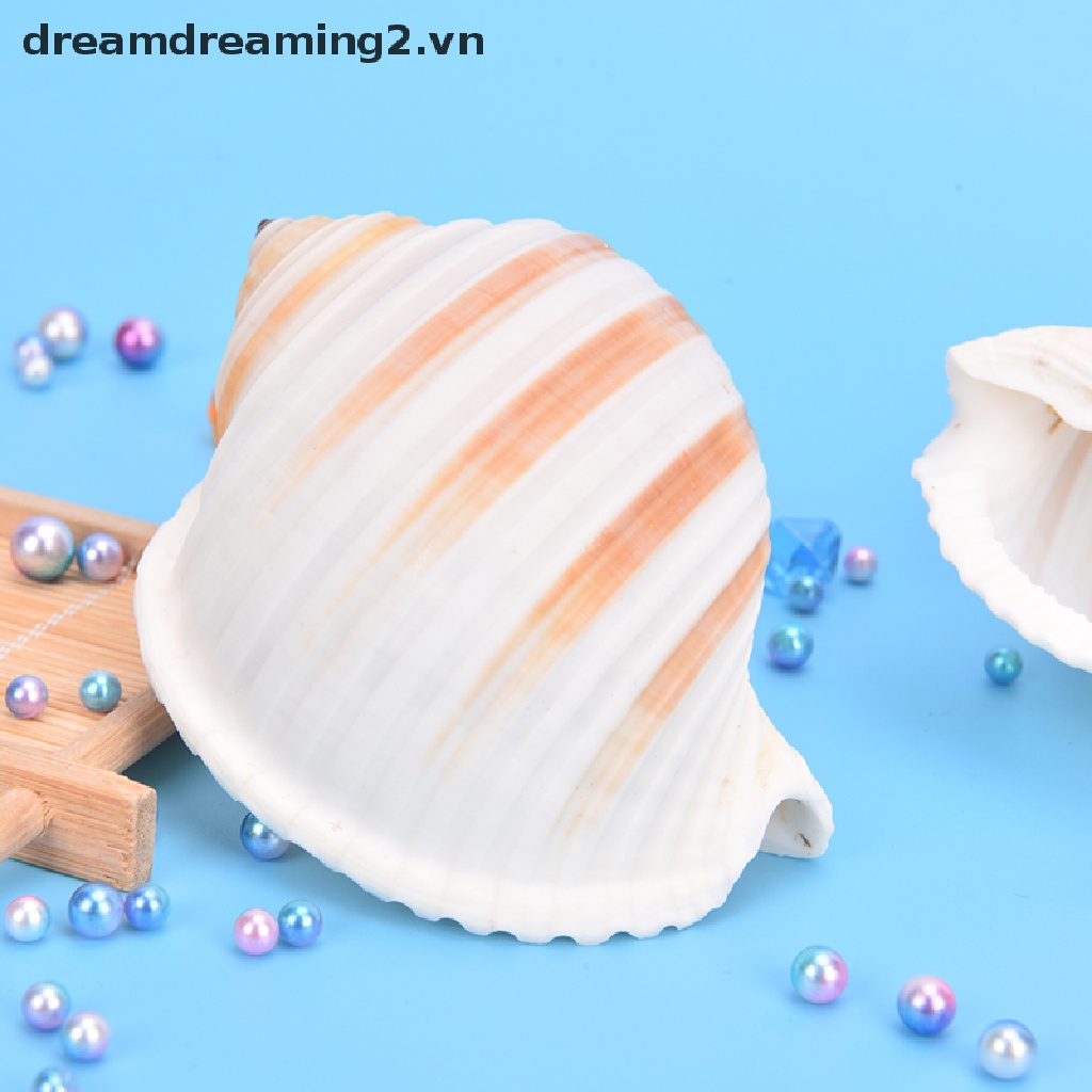 1 Vỏ Vít Phong Cảnh Đẹp