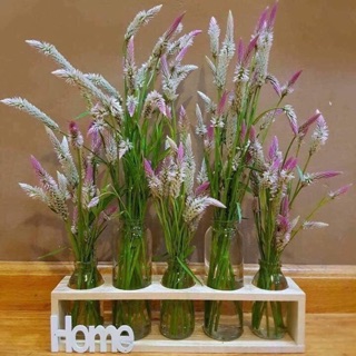 Bộ cắm hoa- trồng cây