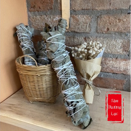 Xô thơm Bạch Đàn  Eucalyptus Sage thanh tẩy nhà cửa, tái tạo năng lượng, thảo mộc xông nhà bạch đàn