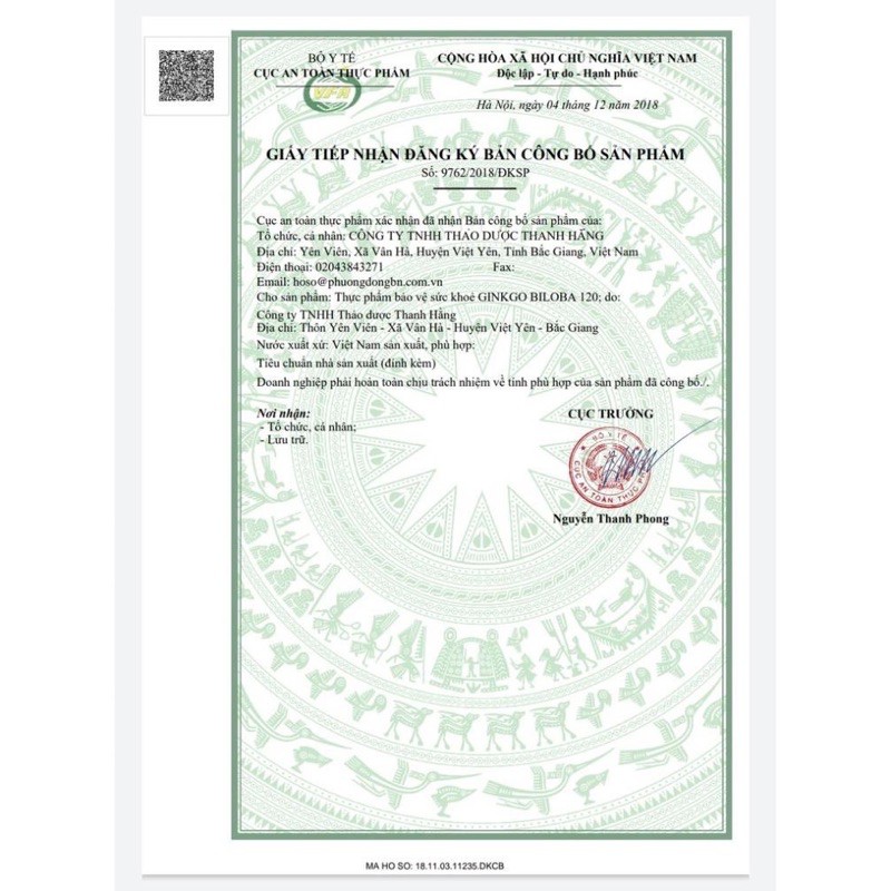 Ginkgo Biloba 120mg Magnesium B6 - Thanh Hằng