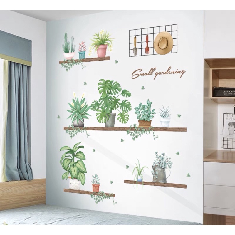 Decal dán tường, Tranh dán tường kệ chậu cây Hàn Quốc.