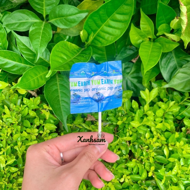 Kẹo Mút Hữu Cơ Yumearth - XanhSam