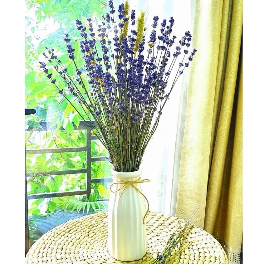 Hoa Khô Lavender, Hoa Oải Hương Lavender Thơm Ngát, Decor Siêu Xinh