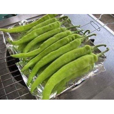 0.5GR - HẠT GIỐNG ỚT SỪNG TRẮNG THÁI LAN