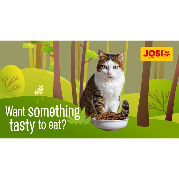 60gr - Bánh thưởng giòn tan JosiCat cho Mèo vị Cá hồi &amp; Thịt Vịt - Bánh thưởng cho Mèo Josera Cat Snacks