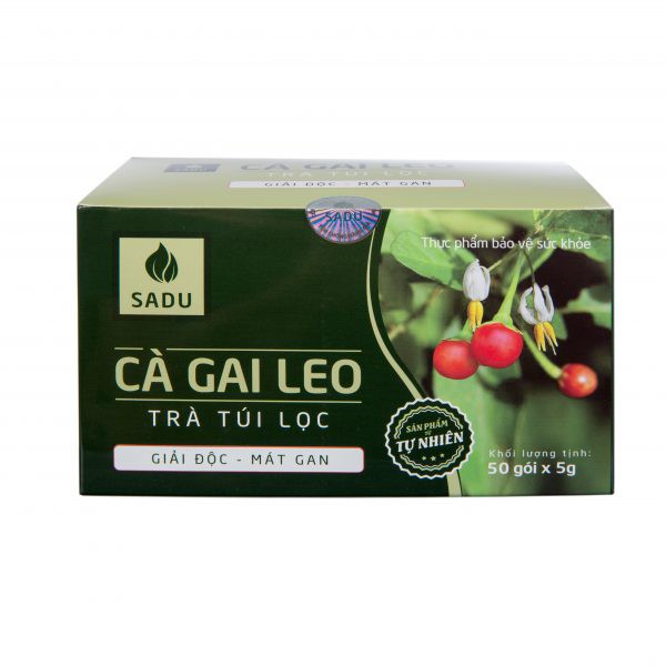 Cà Gai Leo Trà Túi Lọc 250g Hộp 50 gói x 5g