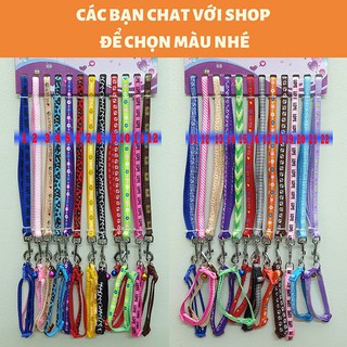 Dây dắt chó mèo đi dạo kèm vòng cổ giá rẻ