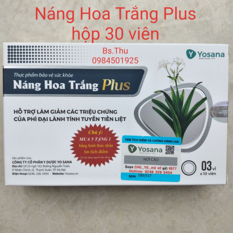 Náng Hoa Trắng Plus