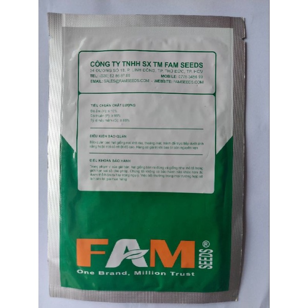 HẠT GIỐNG CẢI BẸ DÚN