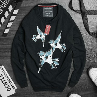 Video Áo thun nam vải da cá cotton Sweater tay dài chim én
