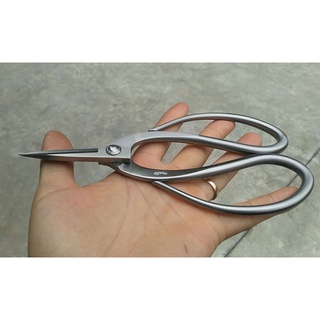 Kéo tỉa Ryuga RS-04