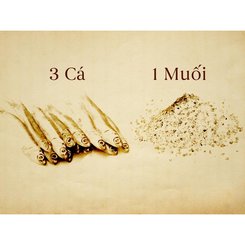 Nước mắm cho bé ăn dặm nguyên chất mắm nhĩ cá cơm truyền thống nhiều cá ít muối cho trẻ ăn dặm trên 1 tuổi