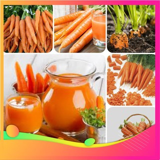 Hạt Giống Cà Rốt F1 - 200 Hạt [ Tặng bộ dụng cụ làm vườn Mini 3 món ] VIETGAR