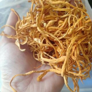 100g đông trùng hạ thảo khô