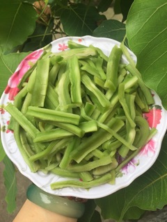 1kg rau tiến vua_rau công sôi