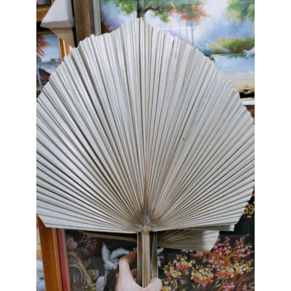 Quạt cổ trang quạt nan lá cọ decor trang trí nhiều mẫu