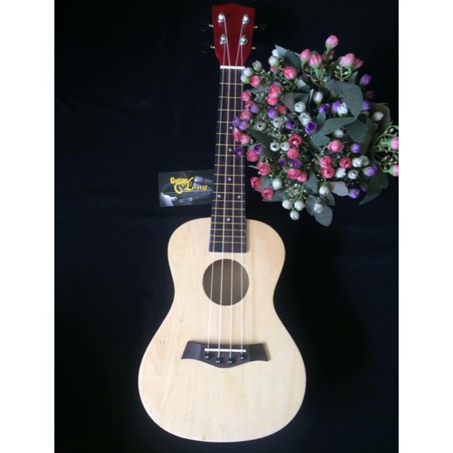 Đàn ukulele Concert GT-450