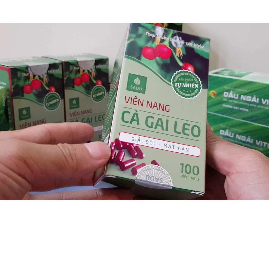 Viên nang cà gai leo -  Hỗ trợ tăng cường chức năng giải độc gan, bảo vệ tế bào gan