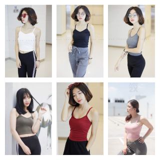 Combo sỉ 12 áo croptop AGE2X (Được chọn mẫu)