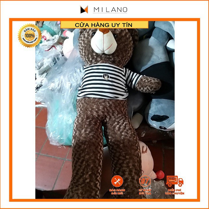 ❤️Sale Khủng❤️ Gấu bông teddy khổ vải 1m4 cao 1m2