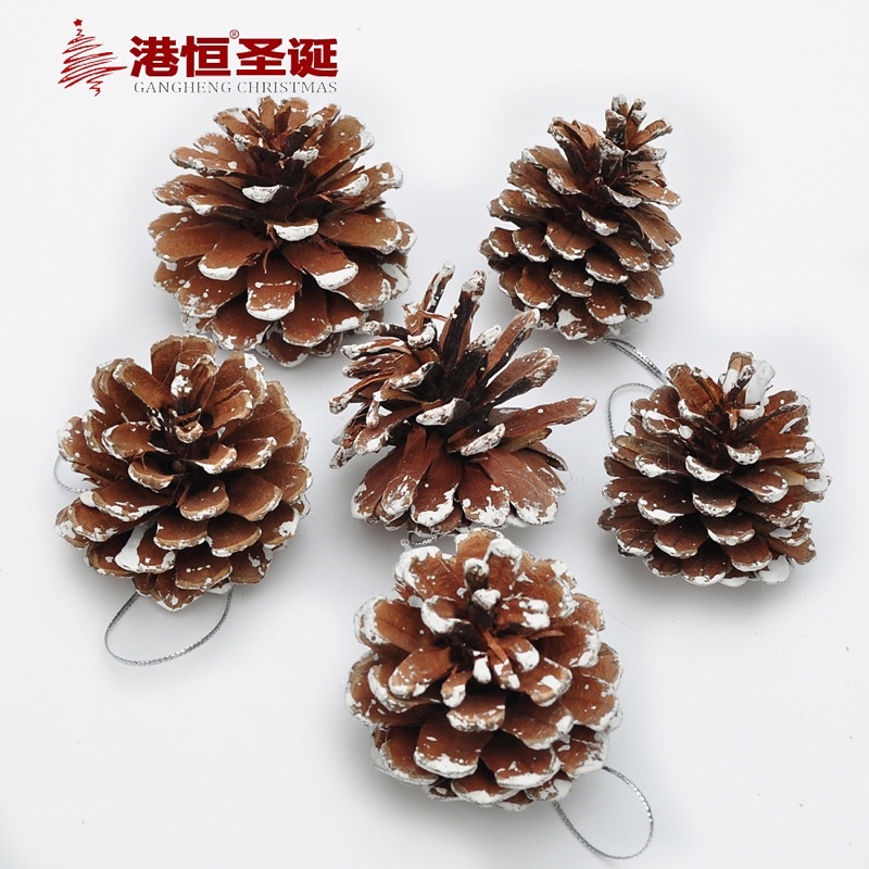 Quả thông khô trang trí phòng