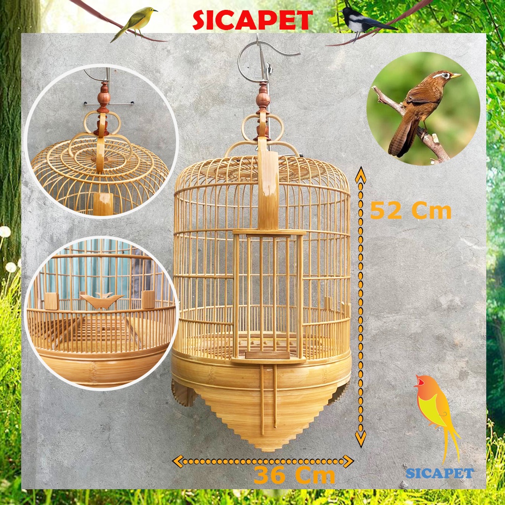 Lồng chim Họa Mi, Lồng Mi đẹp hàng kỹ, Lồng nuôi chim Họa Mi SICAPET