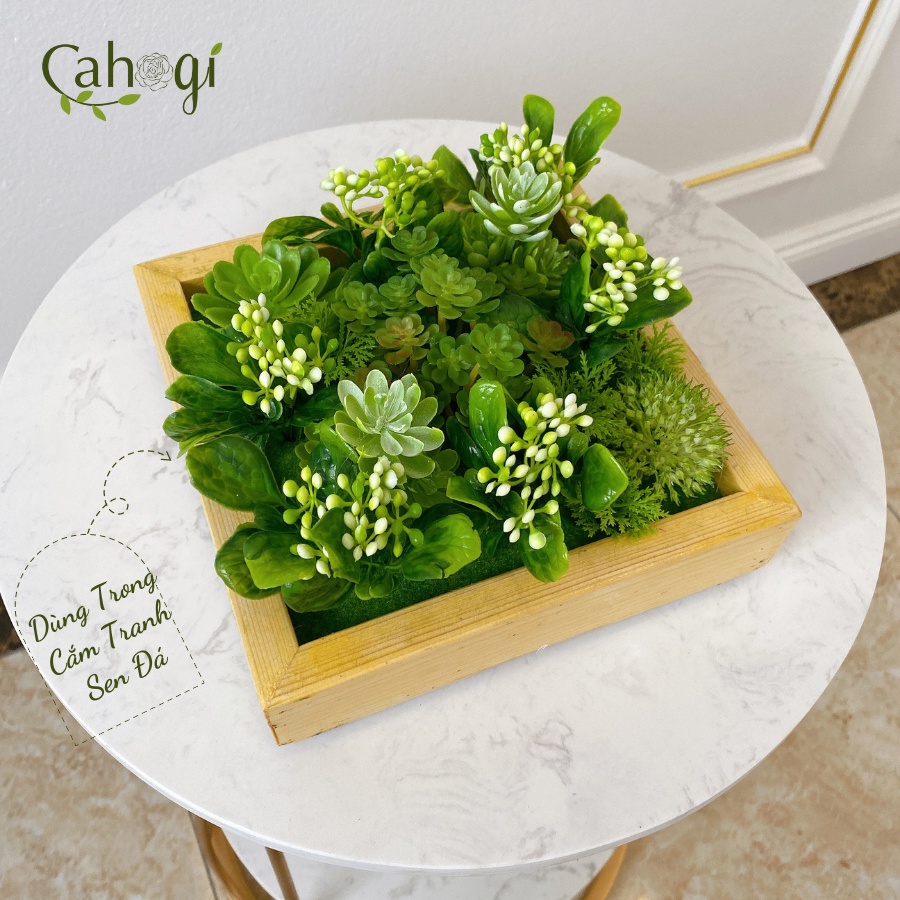 Khung Tranh Vuông Gỗ Thông Dùng Trong Cắm Hoa Và Trang Trí Tiểu Cảnh Terrarium Nhiều Kích Thước