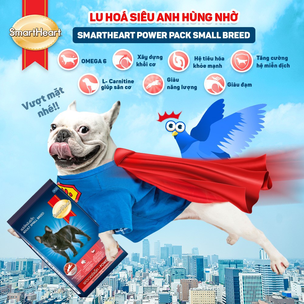 Thức ăn hạt cho Chó giống nhỏ Smartheart Power Pack Adult Small Breed Gói 1kg Bổ sung dinh dưỡng hoàn chỉnh Tiêu hóa tốt