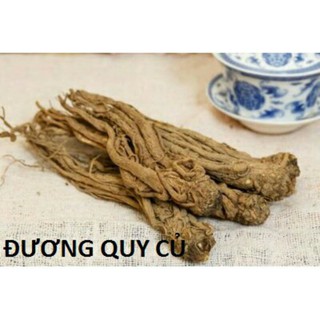 sỉ giá gốc sâm quy 500g - 1kg ( sâm đương quy)