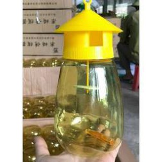 Dụng Cụ Bẫy Ruồi Vàng Hàng Loại 1 hàng loại 1