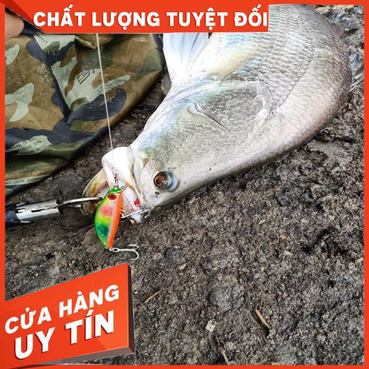 Mồi câu Sasuke chuyên lure chẽm, vược