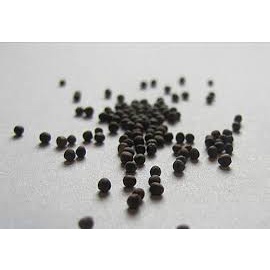 (Gói 150 hạt) Hạt giống súp lơ nhiều màu sắc kháng bệnh tốt năng suất cao-Tổng kho hạt giống giá rẻ