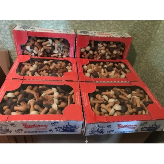 Bánh quy nấm socola nga