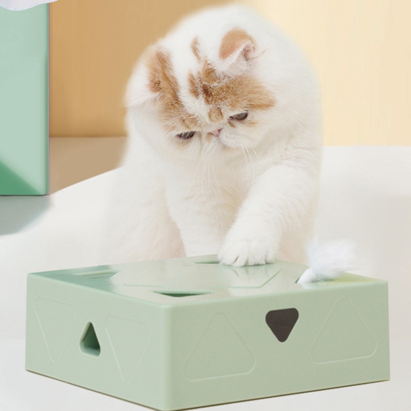 Đồ Chơi Lông Vũ MềM MạI Cho MèO