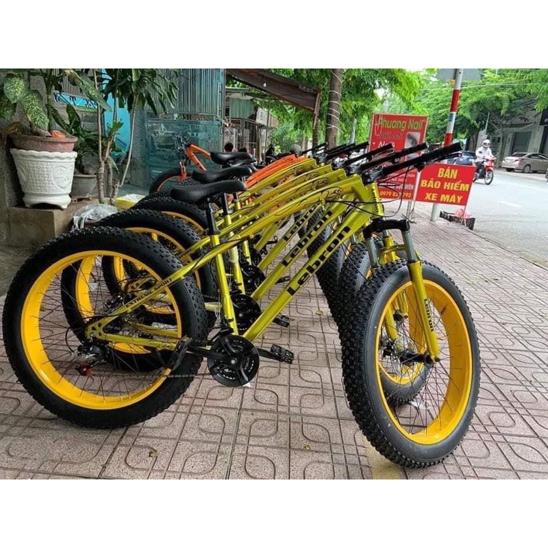 Xe đạp thể thao bánh béo Lebron, xe đạp thể thao leo núi