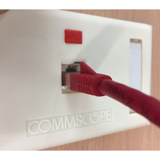 Mặt mạng Wallplate âm tường, mặt oulet 1 cổng amp/commscope