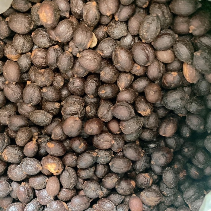 [MỚI] Cà phê Robusta Natural [500g/ 1 túi] - 100% Cà phê mộc rang xay nguyên chất - TBCAFE