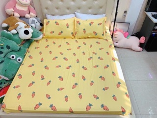 Set ga gối