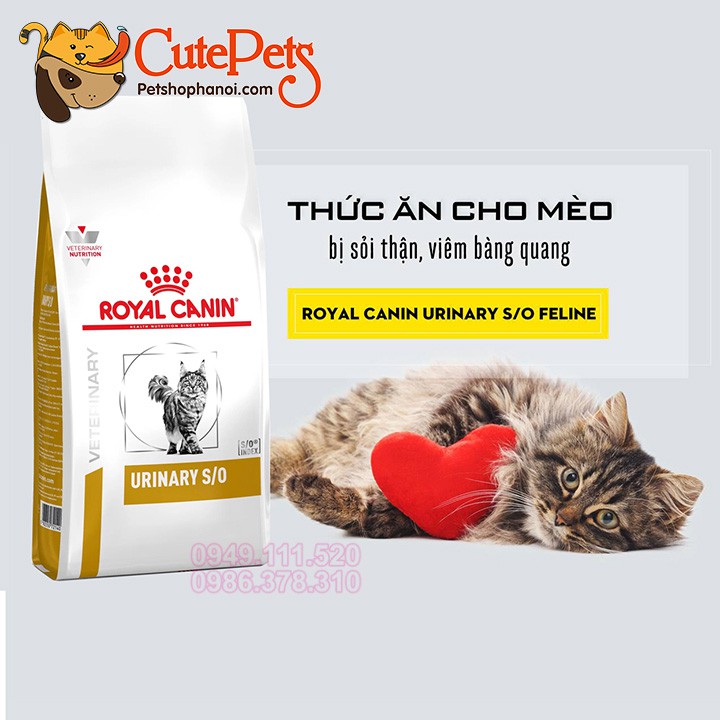 Hạt trị sỏi thận cho mèo Royal Canin Urinary S/O Feline 400g Thức ăn cho mèo - CutePets