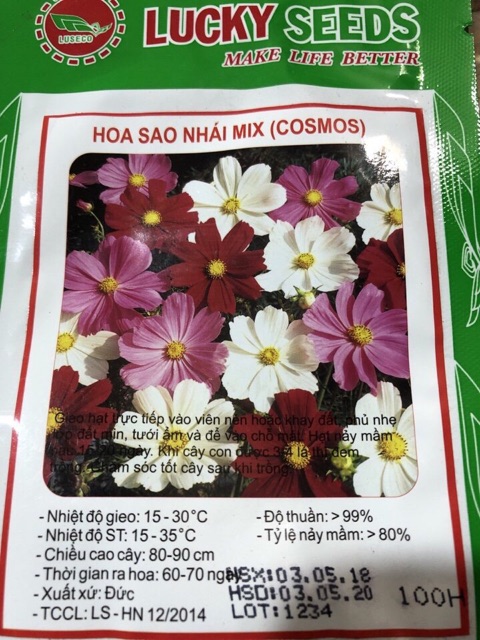 Hoa sao nhái