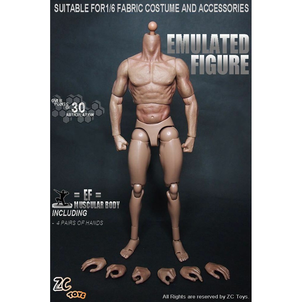 Mô Hình Cơ Thể Người Sói ZCtoys S001 / S002 12 "Tỉ Lệ 1: 6