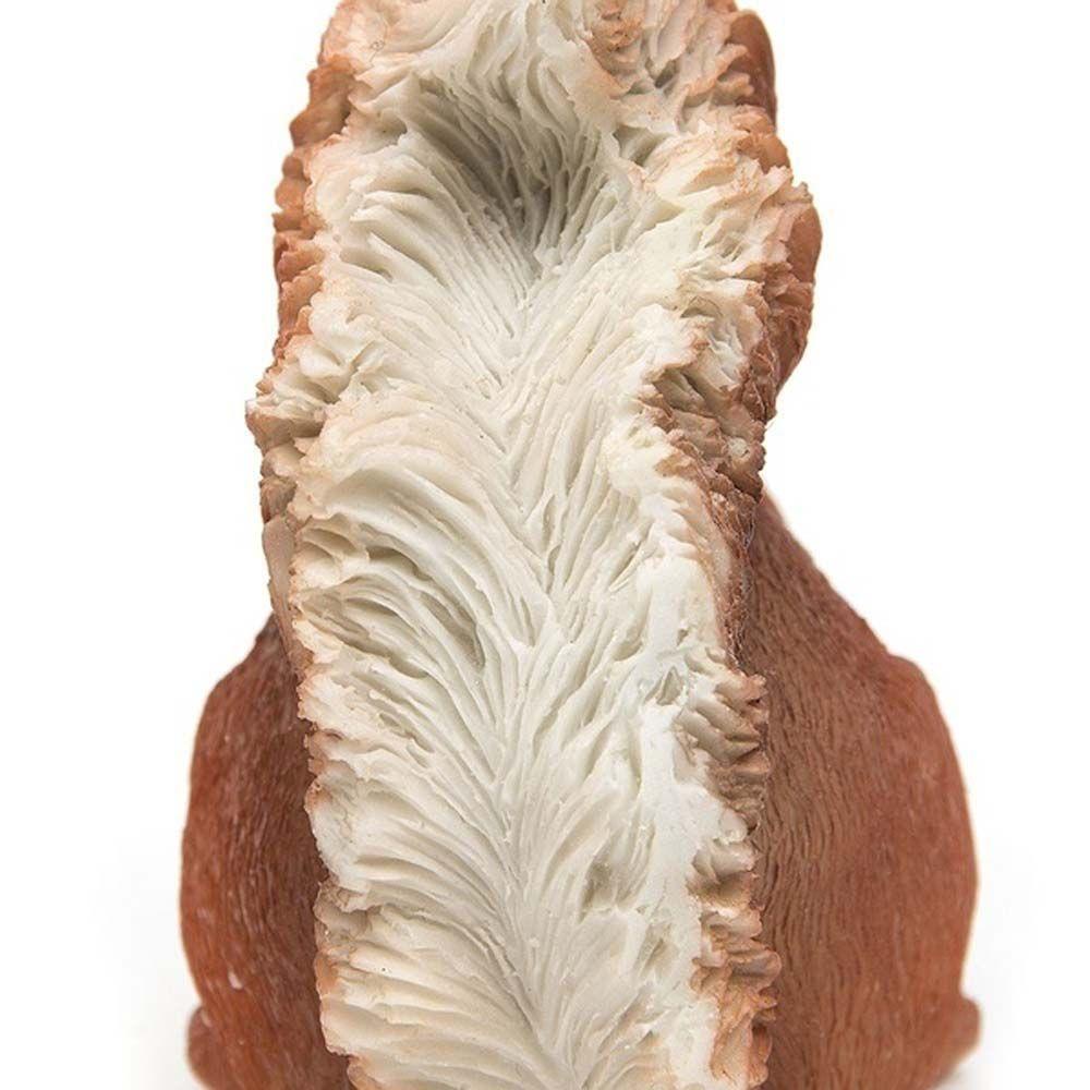 Mô Hình Nhà Búp Bê Mini Bằng Nhựa Resin Đáng Yêu