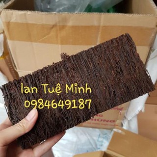 Bảng dớn trồng lan kích thước 10x20x3 cm