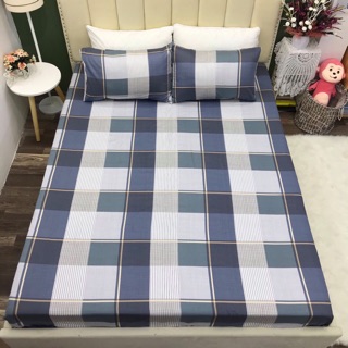 Set Ga-Vỏ gối cotton 100%