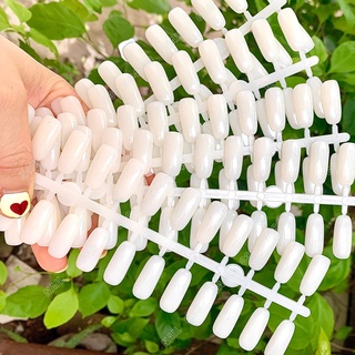Móng giả gắn sổ Mẫu ( 120 móng/bich)