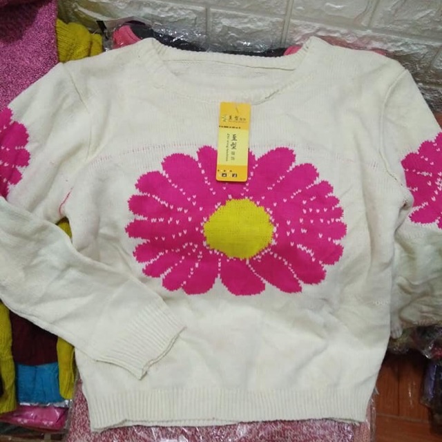 Combo 12 áo len